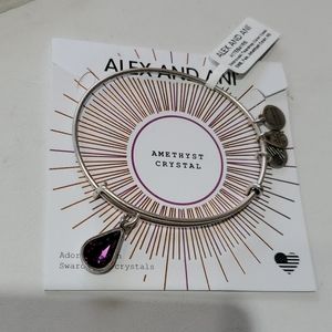 Alex and Ani February Birthstone Amethest bracelet